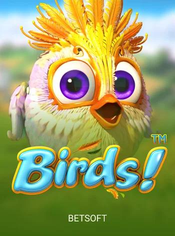 birds.webp